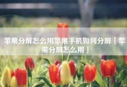 苹果分屏怎么用苹果手机如何分屏「苹果分屏怎么用」