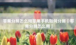 苹果分屏怎么用苹果手机如何分屏「苹果分屏怎么用」