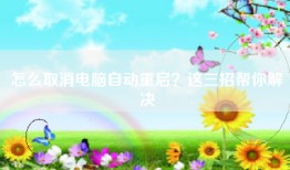 怎么取消电脑自动重启？这三招帮你解决