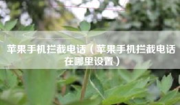 苹果手机拦截电话（苹果手机拦截电话在哪里设置）