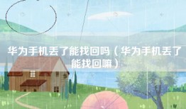 华为手机丢了能找回吗（华为手机丢了能找回嘛）