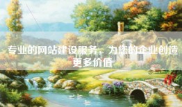 专业的网站建设服务，为您的企业创造更多价值