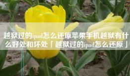 越狱过的ipad怎么还原苹果手机越狱有什么好处和坏处「越狱过的ipad怎么还原」