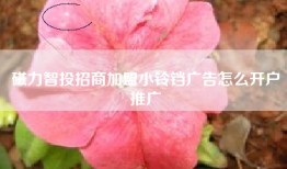 磁力智投招商加盟小铃铛广告怎么开户推广