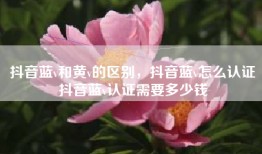 抖音蓝v和黄v的区别，抖音蓝v怎么认证抖音蓝v认证需要多少钱