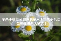 苹果手机怎么删除联系人（苹果手机怎么删除联系人多选）