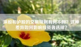 深股和泸股的交易规则有何不同？这种差异如何影响投资者选择？