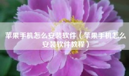 苹果手机怎么安装软件（苹果手机怎么安装软件教程）