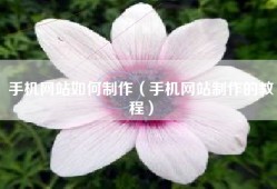 手机网站如何制作（手机网站制作的教程）