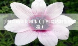 手机网站如何制作（手机网站制作的教程）