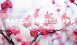 手机烫怎么办（手机烫怎么办小米）