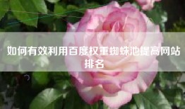 如何有效利用百度权重蜘蛛池提高网站排名