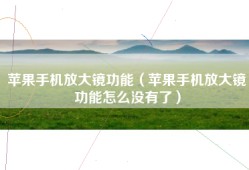 苹果手机放大镜功能（苹果手机放大镜功能怎么没有了）