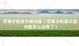 苹果手机放大镜功能（苹果手机放大镜功能怎么没有了）