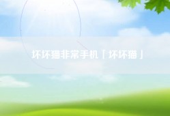 坏坏猫非常手机「坏坏猫」