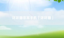 坏坏猫非常手机「坏坏猫」