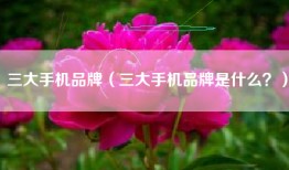 三大手机品牌（三大手机品牌是什么？）