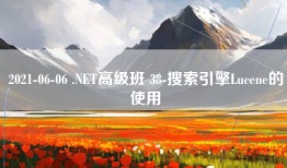2021-06-06 .NET高级班 38-搜索引擎Lucene的使用