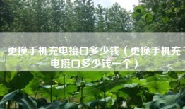更换手机充电接口多少钱（更换手机充电接口多少钱一个）