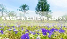 利用免费SEO优化工具提升网站整体收录