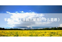 手机 三星（手机三星用户什么意思）
