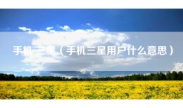 手机 三星（手机三星用户什么意思）