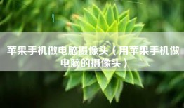 苹果手机做电脑摄像头（用苹果手机做电脑的摄像头）
