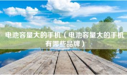 电池容量大的手机（电池容量大的手机有哪些品牌）