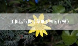 手机运行慢（苹果手机运行慢）