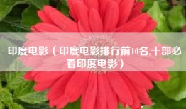 印度电影（印度电影排行前10名,十部必看印度电影）