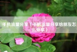 手机流量分享（手机流量分享给朋友怎么分享）