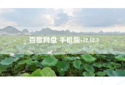 百度网盘 手机版v12.18.3