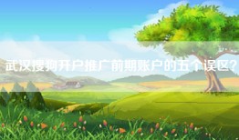 武汉搜狗开户推广前期账户的五个误区？