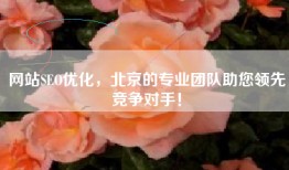 网站SEO优化，北京的专业团队助您领先竞争对手！