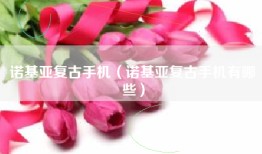 诺基亚复古手机（诺基亚复古手机有哪些）