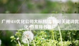 广州SEO优化公司大标网络-网站关键词优化-百度排名推广