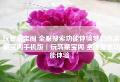 玩转藏宝阁 全服搜索功能体验梦幻西游藏宝阁手机版「玩转藏宝阁 全服搜索功能体验」