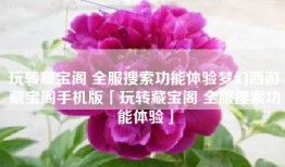 玩转藏宝阁 全服搜索功能体验梦幻西游藏宝阁手机版「玩转藏宝阁 全服搜索功能体验」