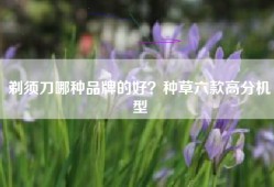 剃须刀哪种品牌的好？种草六款高分机型