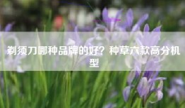 剃须刀哪种品牌的好？种草六款高分机型