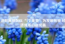 洛阳高新区以“5个重塑”为发展纲领 经济体系日益完善
