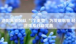 洛阳高新区以“5个重塑”为发展纲领 经济体系日益完善