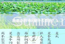 股票中的'MID'是什么意思？