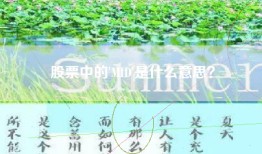 股票中的'MID'是什么意思？