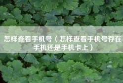 怎样查看手机号（怎样查看手机号存在手机还是手机卡上）