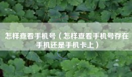 怎样查看手机号（怎样查看手机号存在手机还是手机卡上）