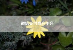 微信支付商户平台