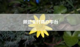 微信支付商户平台