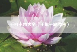 手机主题大全（手机主题图片）
