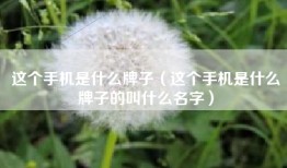 这个手机是什么牌子（这个手机是什么牌子的叫什么名字）